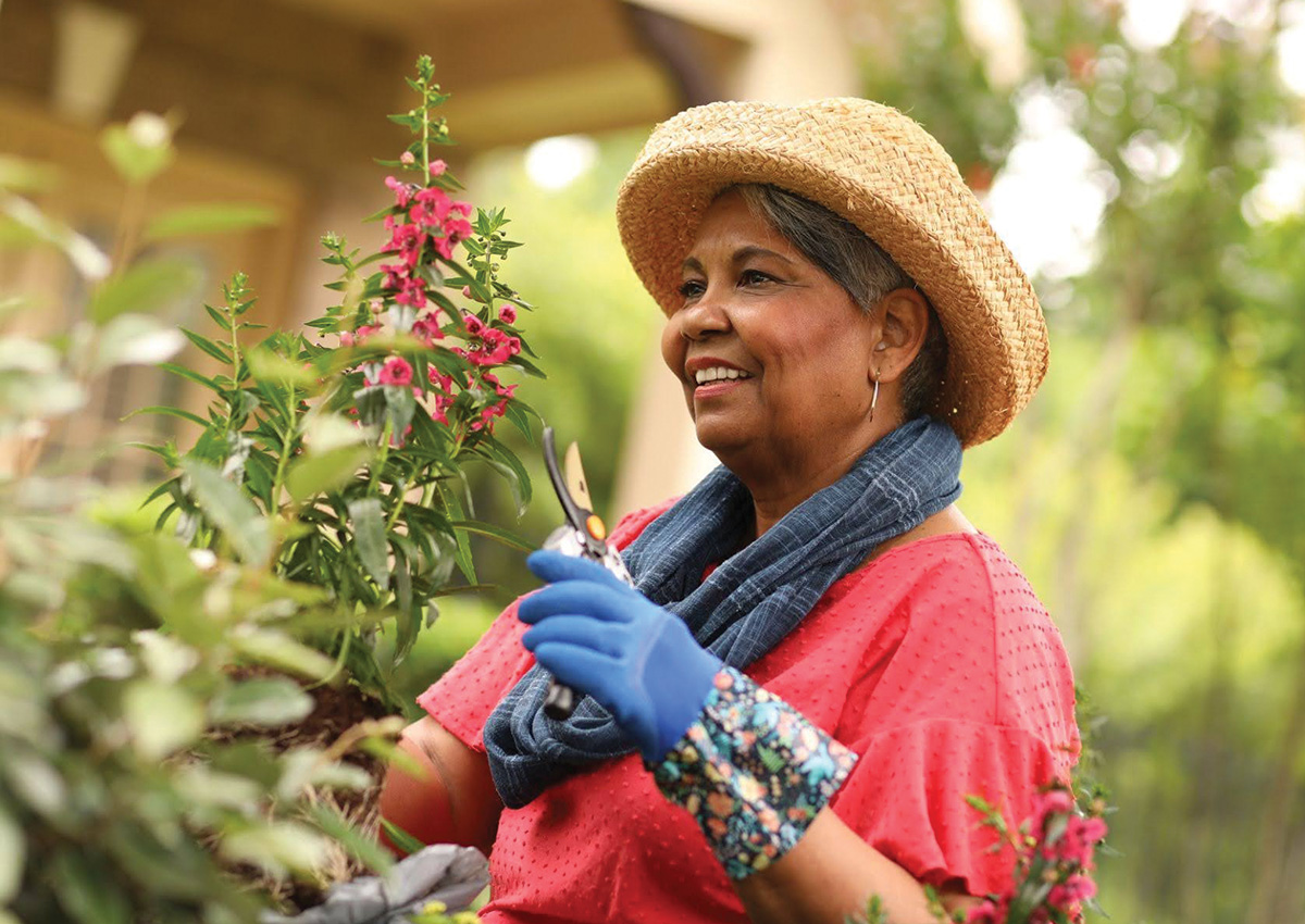 Senior woman using shears to garden flowers